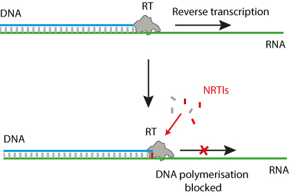 NRTIs