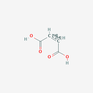 molecular formula C4H4O4 B100224 (Z)-(2,3-14C2)But-2-enedioic acid CAS No. 17836-11-2