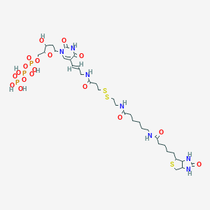 molecular formula C33H54N7O18P3S3 B010063 Biotin-19-SS-dutp CAS No. 104142-46-3