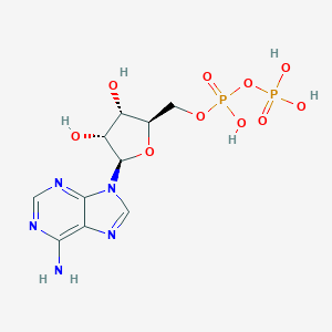 molecular formula C10H15N5O10P2 B100840 Adenosine 5'-diphosphate CAS No. 17791-27-4