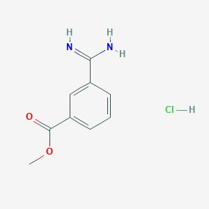 Methyl 3-carbamimidoylbenzoate hydrochloride