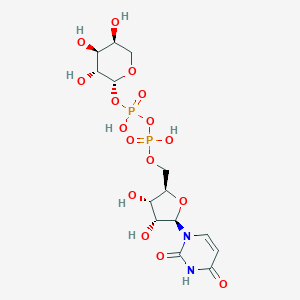 UDP-beta-L-arabinopyranose