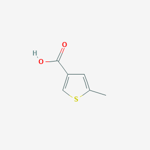 molecular formula C6H6O2S B102785 5-Methylthiophene-3-carboxylic acid CAS No. 19156-50-4