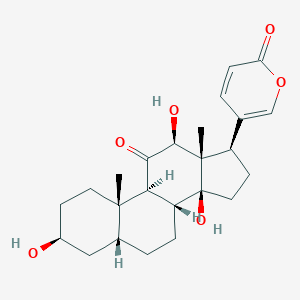 molecular formula C24H32O6 B103089 Bufarenogin CAS No. 17008-65-0