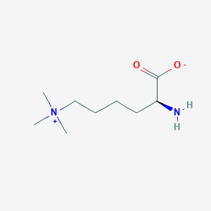 molecular formula C9H21N2O2+ B103232 N-三甲基赖氨酸 CAS No. 19253-88-4