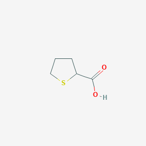 molecular formula C5H8O2S B103254 Tetrahydrothiophene-2-carboxylic acid CAS No. 19418-11-2