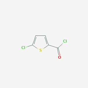 molecular formula C5H2Cl2OS B104058 5-氯噻吩-2-羰基氯 CAS No. 42518-98-9