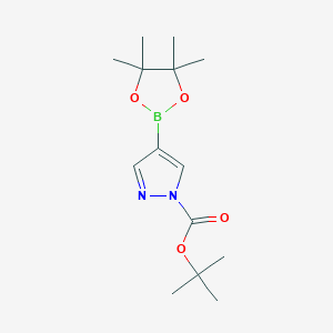 molecular formula C14H23BN2O4 B104235 tert-butyl 4-(4,4,5,5-tetramethyl-1,3,2-dioxaborolan-2-yl)-1H-pyrazole-1-carboxylate CAS No. 552846-17-0
