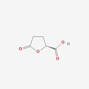 B104505 (R)-5-Oxotetrahydrofuran-2-carboxylic acid CAS No. 53558-93-3
