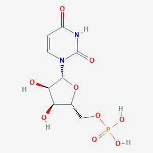 molecular formula C9H13N2O9P B105498 Uridine-5'-monophosphate CAS No. 58-97-9