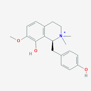 molecular formula C19H24NO3+ B106143 Oblongine CAS No. 60008-01-7