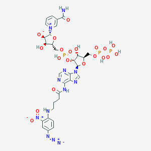 molecular formula C31H37N12O20P3 B010662 N-4-Azido-2-nitrophenyl aminobutyryl nadp CAS No. 105450-72-4