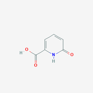 molecular formula C6H5NO3 B010676 6-Hydroxypicolinic acid CAS No. 19621-92-2