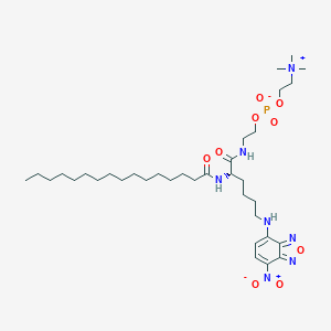 molecular formula C35H62N7O9P B010740 2-[[(2S)-2-(hexadecanoylamino)-6-[(4-nitro-2,1,3-benzoxadiazol-7-yl)amino]hexanoyl]amino]ethyl 2-(trimethylazaniumyl)ethyl phosphate CAS No. 109897-91-8