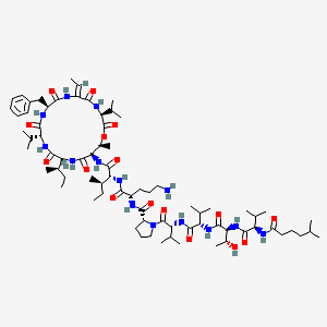 molecular formula C75H124N14O16 B10753029 deamino-hLeu-D-Val-Thr-Val-D-Val-D-Pro-Orn-D-Ile-D-Thr(1)-D-Ile-D-Val-Phe-Abu(2,3-dehydro)-Val-(1) 