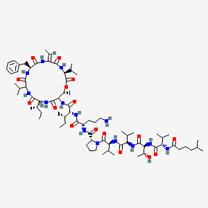 molecular formula C75H124N14O16 B10753051 deamino-hLeu-Val-Thr-D-Val-Val-D-Pro-Orn-D-aIle-DL-Thr(1)-D-aIle-DL-Val-Phe-Abu(2,3-dehydro)-Val-(1) 