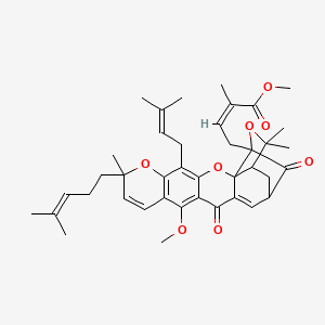 molecular formula C40H48O8 B10753069 Dimethyl gambogate 