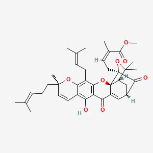 molecular formula C39H46O8 B10753616 Methyl gambogate 