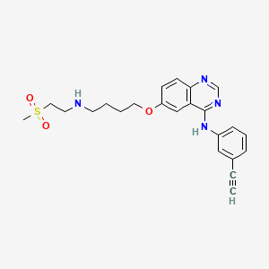 molecular formula C23H26N4O3S B10755094 N-(3-Ethynylphenyl)-6-(4-((2-(methylsulfonyl)ethyl)amino)butoxy)quinazolin-4-amine 
