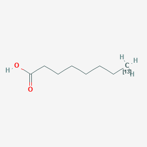 molecular formula C8H16O2 B10759052 (813C)octanoic acid CAS No. 287111-08-4