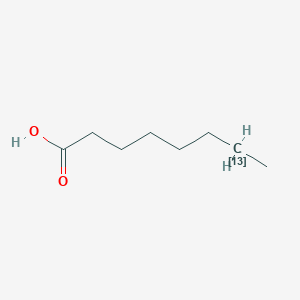 molecular formula C8H16O2 B10759059 (713C)octanoic acid CAS No. 287111-23-3