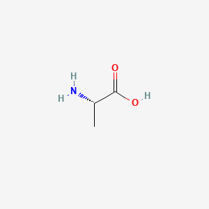 molecular formula C3H7NO2 B10760897 Alanine CAS No. 25840-84-0
