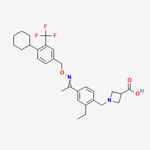 molecular formula C29H35F3N2O3 B10762469 1-[[4-[(E)-N-[[4-cyclohexyl-3-(trifluoromethyl)phenyl]methoxy]-C-methylcarbonimidoyl]-2-ethylphenyl]methyl]azetidine-3-carboxylic acid 