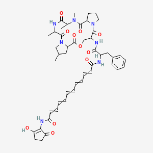 molecular formula C47H57N7O11 B10765491 N-(2-hydroxy-5-oxocyclopenten-1-yl)-N'-[1-oxo-3-phenyl-1-[(9,13,16,17-tetramethyl-2,6,12,15,18-pentaoxo-5-oxa-1,11,14,17-tetrazatricyclo[17.3.0.07,11]docosan-3-yl)amino]propan-2-yl]dodeca-2,4,6,8,10-pentaenediamide 