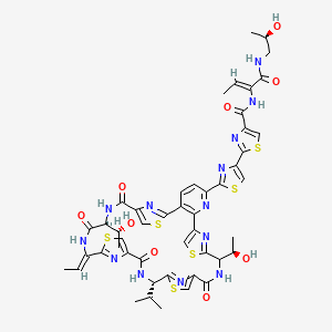 molecular formula C48H49N13O9S6 B10765534 2-[2-[(19S,26Z,29S)-26-ethylidene-12,29-bis[(1R)-1-hydroxyethyl]-14,21,28,31-tetraoxo-19-propan-2-yl-10,17,24,34-tetrathia-6,13,20,27,30,35,36,37,38-nonazahexacyclo[30.2.1.18,11.115,18.122,25.02,7]octatriaconta-1(35),2(7),3,5,8,11(38),15,18(37),22,25(36),32-undecaen-5-yl]-1,3-thiazol-4-yl]-N-[(Z)-1-[[(2R)-2-hydroxypropyl]amino]-1-oxobut-2-en-2-yl]-1,3-thiazole-4-carboxamide 