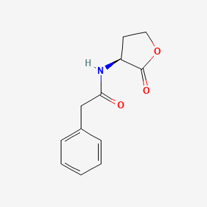 molecular formula C12H13NO3 B10765554 N-phenylacetyl-L-Homoserine lactone 