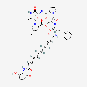 molecular formula C47H57N7O11 B10765574 (2E,4E,6E,8E,10E)-N-(2-hydroxy-5-oxocyclopenten-1-yl)-N'-[1-oxo-3-phenyl-1-[(9,13,16,17-tetramethyl-2,6,12,15,18-pentaoxo-5-oxa-1,11,14,17-tetrazatricyclo[17.3.0.07,11]docosan-3-yl)amino]propan-2-yl]dodeca-2,4,6,8,10-pentaenediamide 