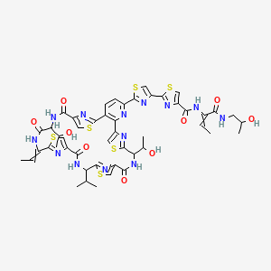 molecular formula C48H49N13O9S6 B10765579 2-[2-[26-ethylidene-12,29-bis(1-hydroxyethyl)-14,21,28,31-tetraoxo-19-propan-2-yl-10,17,24,34-tetrathia-6,13,20,27,30,35,36,37,38-nonazahexacyclo[30.2.1.18,11.115,18.122,25.02,7]octatriaconta-1(35),2(7),3,5,8,11(38),15,18(37),22,25(36),32-undecaen-5-yl]-1,3-thiazol-4-yl]-N-[1-(2-hydroxypropylamino)-1-oxobut-2-en-2-yl]-1,3-thiazole-4-carboxamide 