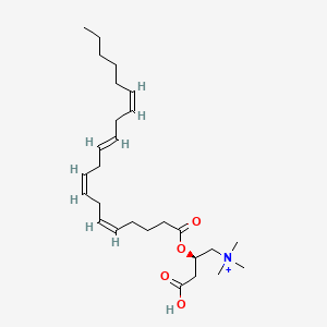 molecular formula C27H46NO4+ B10765822 Arachidonoyl-L-carnitine (chloride) 