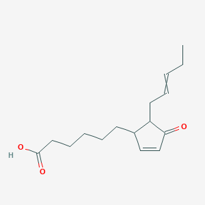 molecular formula C16H24O3 B10766722 dinor-12-oxo Phytodienoic Acid 