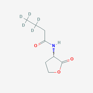 molecular formula C8H13NO3 B10767133 N-butyryl-L-Homoserine lactone-d5 