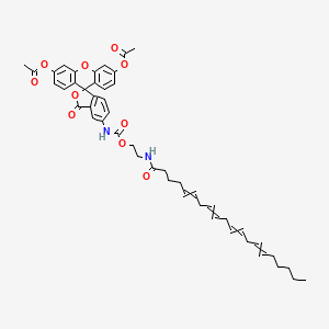 molecular formula C47H52N2O10 B10767439 [6'-Acetyloxy-5-[2-(icosa-5,8,11,14-tetraenoylamino)ethoxycarbonylamino]-3-oxospiro[2-benzofuran-1,9'-xanthene]-3'-yl] acetate 