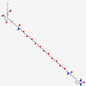 molecular formula C54H96N4O17S B10767523 Prostaglandin E2-PEG11-Biotinamide 