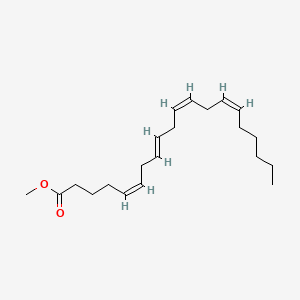 molecular formula C21H34O2 B10767560 methyl (5Z,8E,11Z,14Z)-icosa-5,8,11,14-tetraenoate 