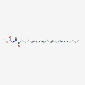 molecular formula C23H37NO3 B10767593 N-Icosa-5,8,11,14-tetraenoyl-L-alanine CAS No. 401941-73-9