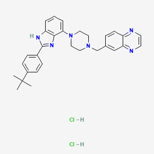 WAY-207024 dihydrochloride