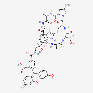 molecular formula C56H59N9O16S B10769640 Fluorescein Phalloidin 