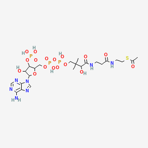 molecular formula C23H38N7O17P3S B10770486 Acetyl coenzyme A sodium salt 