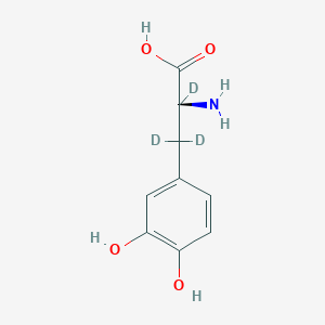 molecular formula C9H11NO4 B10770604 SD-1077 