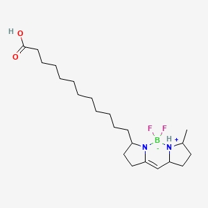 molecular formula C22H39BF2N2O2 B10773952 C1-Bodipy-C12 