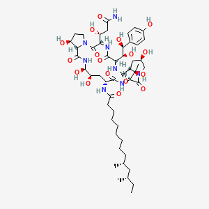 molecular formula C50H80N8O17 B10775813 (10R,12S)-N-[(3S,6S,9S,11R,15S,18R,20R,21R,24S,25S)-3-[(1R)-3-amino-1-hydroxy-3-oxopropyl]-6-[(1S,2S)-1,2-dihydroxy-2-(4-hydroxyphenyl)ethyl]-11,20,21,25-tetrahydroxy-15-[(1R)-1-hydroxyethyl]-2,5,8,14,17,23-hexaoxo-1,4,7,13,16,22-hexazatricyclo[22.3.0.09,13]heptacosan-18-yl]-10,12-dimethyltetradecanamide 