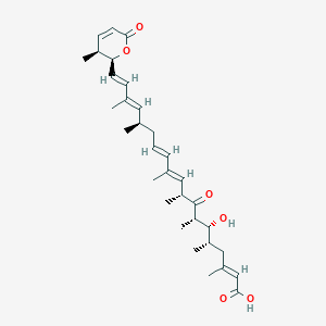 Leptomycin A