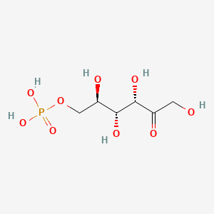 molecular formula C6H13O9P B10776556 Fructose 6-phosphate CAS No. 6814-87-5