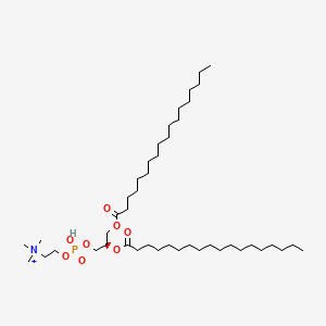 molecular formula C44H89NO8P+ B10776671 DI-Stearoyl-3-SN-phosphatidylcholine 