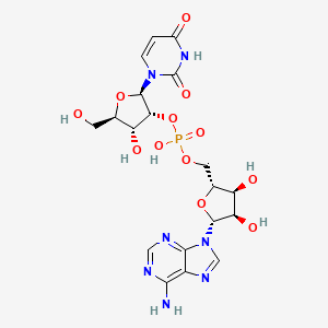 molecular formula C19H24N7O12P B10777296 Uridylyl-2'-5'-phospho-adenosine 