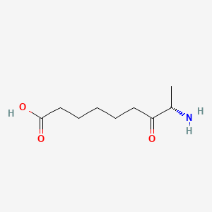 molecular formula C9H17NO3 B10778447 7-Keto-8-aminopelargonic acid CAS No. 682799-71-9